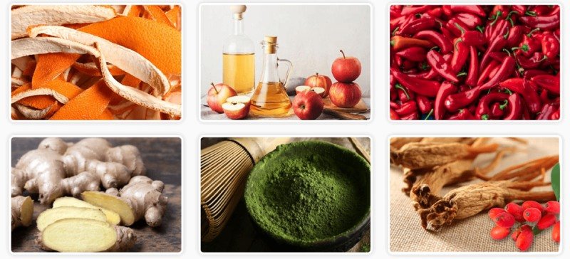 CitrusBurn key natural ingredients – Seville orange, green tea, red pepper for metabolism support